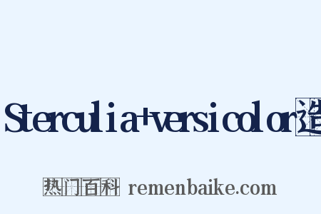 Sterculia+versicolor造句是什么意思的图片